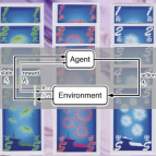 An image showing the card game Hanabi with and agent-environment graph overlayed on top.