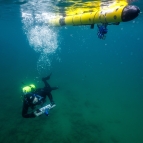 A diver carrying a tube-shaped tablet and an autonomous underwater vehicle swim underwater together.